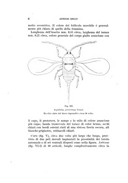 Redia giornale di entomologia pubblicato dalla R. Stazione di entomologia agraria