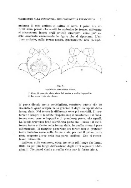 Redia giornale di entomologia pubblicato dalla R. Stazione di entomologia agraria