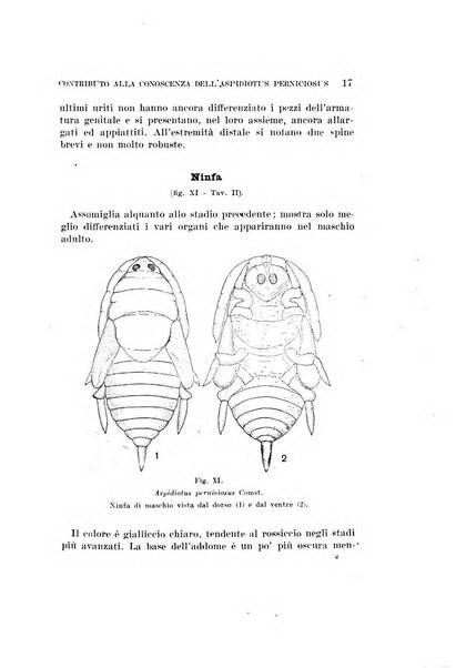 Redia giornale di entomologia pubblicato dalla R. Stazione di entomologia agraria