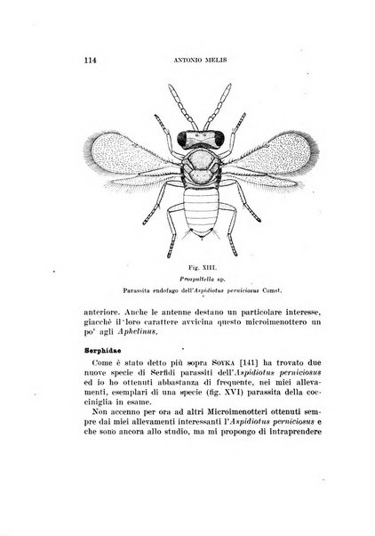 Redia giornale di entomologia pubblicato dalla R. Stazione di entomologia agraria