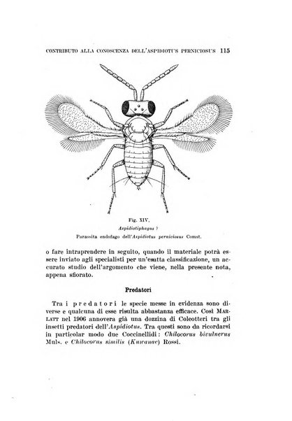 Redia giornale di entomologia pubblicato dalla R. Stazione di entomologia agraria