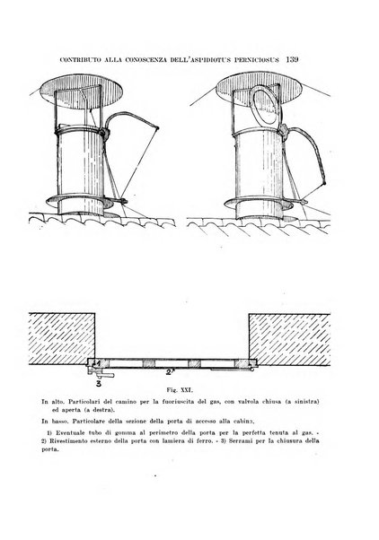 Redia giornale di entomologia pubblicato dalla R. Stazione di entomologia agraria