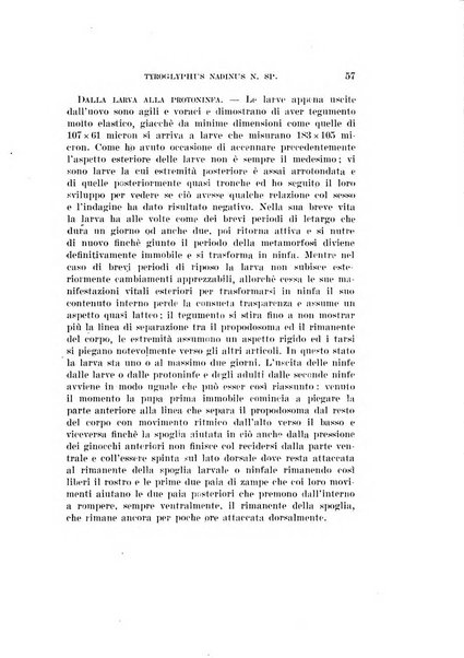 Redia giornale di entomologia pubblicato dalla R. Stazione di entomologia agraria