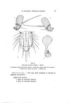 giornale/UFI0040156/1944/unico/00000087