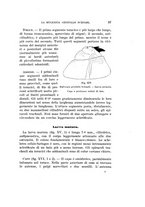 giornale/UFI0040156/1944/unico/00000107