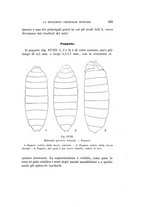 giornale/UFI0040156/1944/unico/00000113