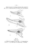 giornale/UFI0040156/1946/unico/00000099