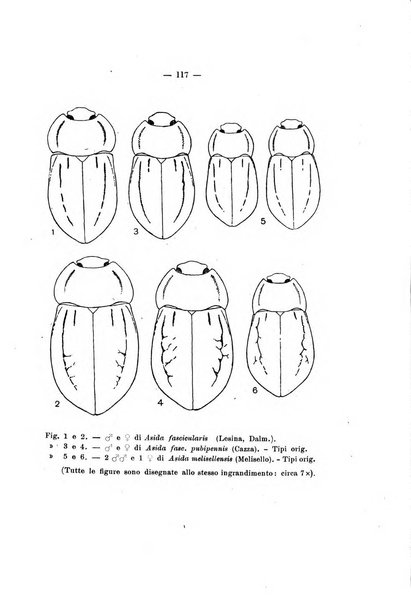 Redia giornale di entomologia pubblicato dalla R. Stazione di entomologia agraria