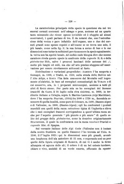 Redia giornale di entomologia pubblicato dalla R. Stazione di entomologia agraria