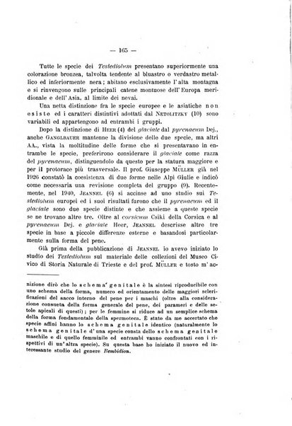 Redia giornale di entomologia pubblicato dalla R. Stazione di entomologia agraria