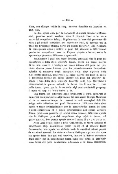 Redia giornale di entomologia pubblicato dalla R. Stazione di entomologia agraria