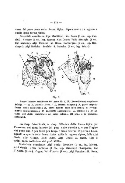 Redia giornale di entomologia pubblicato dalla R. Stazione di entomologia agraria