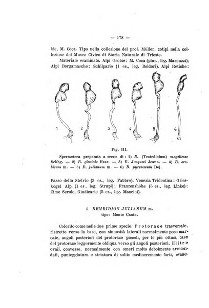 Redia giornale di entomologia pubblicato dalla R. Stazione di entomologia agraria