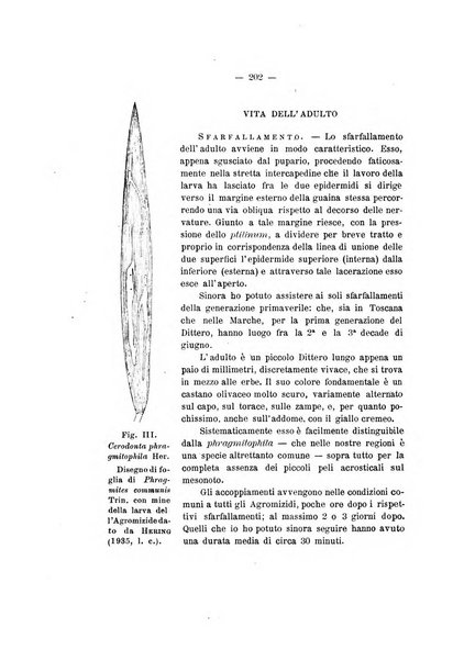 Redia giornale di entomologia pubblicato dalla R. Stazione di entomologia agraria