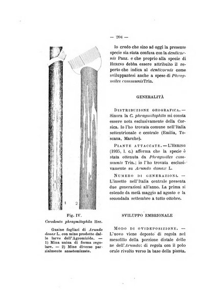 Redia giornale di entomologia pubblicato dalla R. Stazione di entomologia agraria