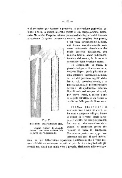 Redia giornale di entomologia pubblicato dalla R. Stazione di entomologia agraria