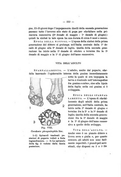 Redia giornale di entomologia pubblicato dalla R. Stazione di entomologia agraria