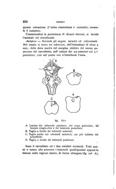 Il manicomio moderno giornale di psichiatria