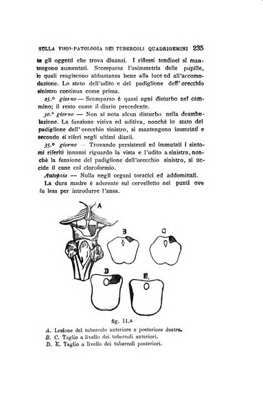 Il manicomio moderno giornale di psichiatria