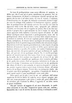 giornale/UFI0041293/1906/unico/00000253