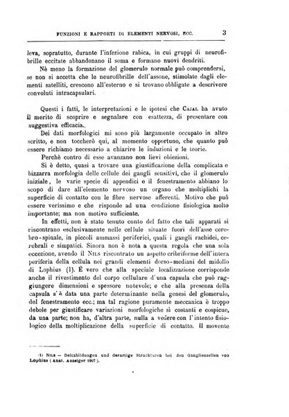 Il manicomio archivio di psichiatria e scienze affini