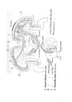 giornale/UFI0041293/1910/unico/00000049