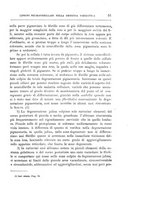 giornale/UFI0041293/1912/unico/00000061