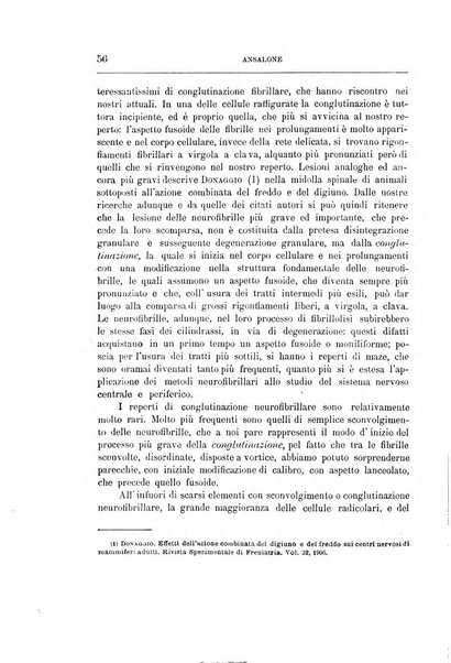 Il manicomio archivio di psichiatria e scienze affini