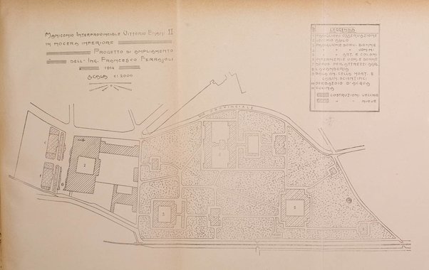 Il manicomio archivio di psichiatria e scienze affini