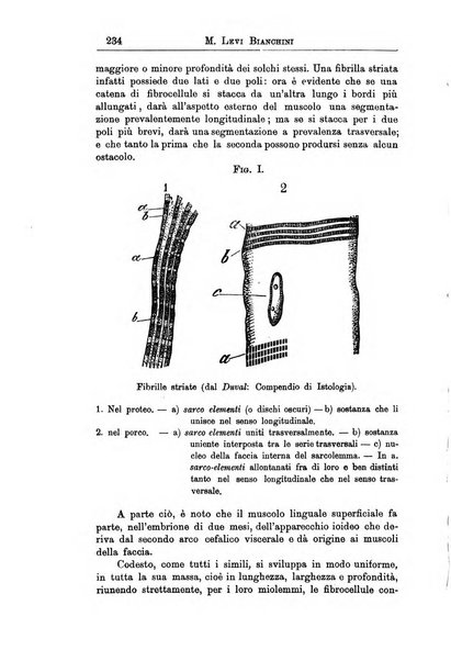 Il manicomio archivio di psichiatria e scienze affini