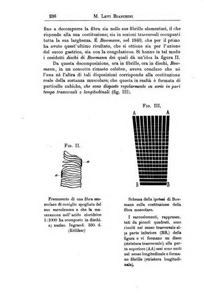 Il manicomio archivio di psichiatria e scienze affini