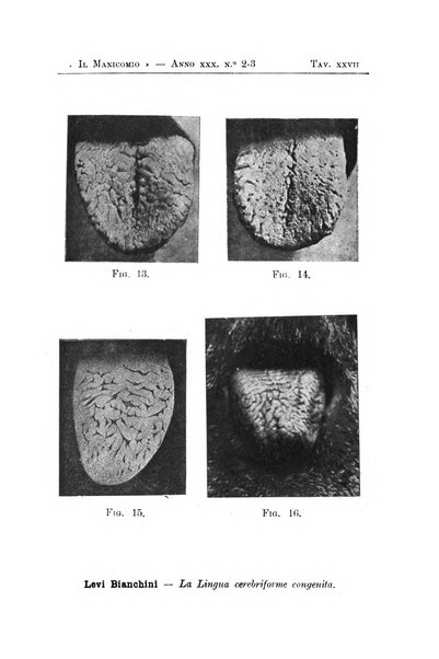 Il manicomio archivio di psichiatria e scienze affini