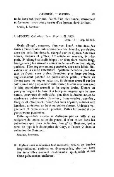 L'abeille memoires d'entomologie