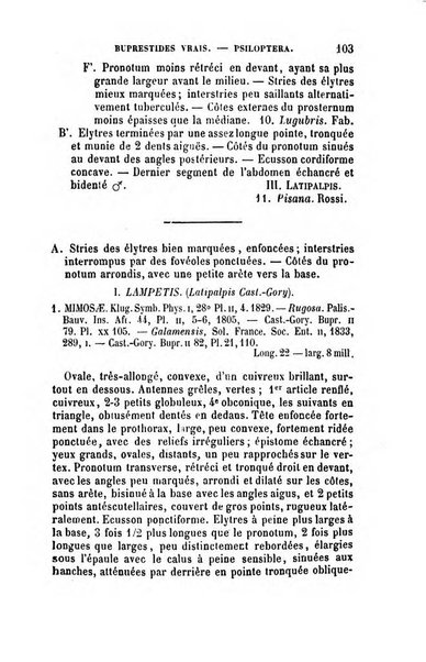 L'abeille memoires d'entomologie