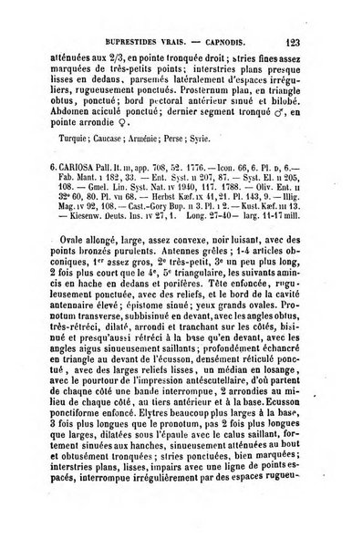 L'abeille memoires d'entomologie