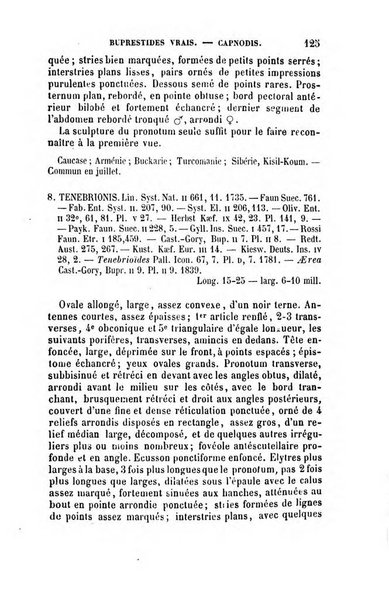 L'abeille memoires d'entomologie