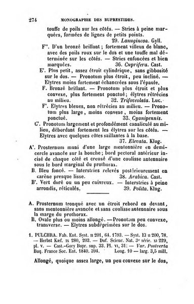 L'abeille memoires d'entomologie