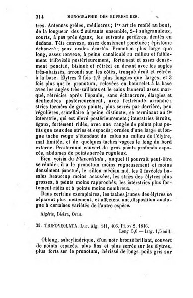 L'abeille memoires d'entomologie