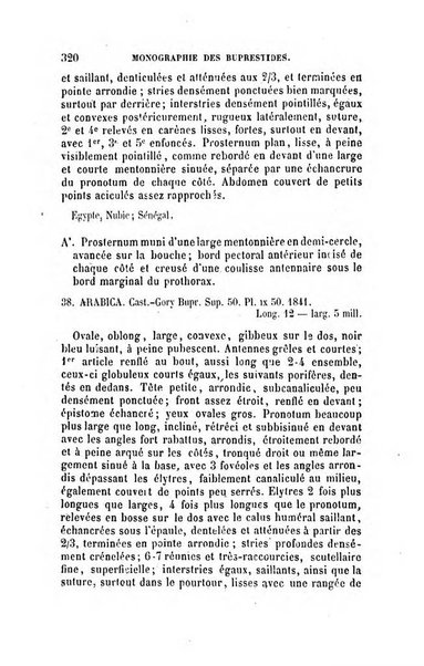 L'abeille memoires d'entomologie