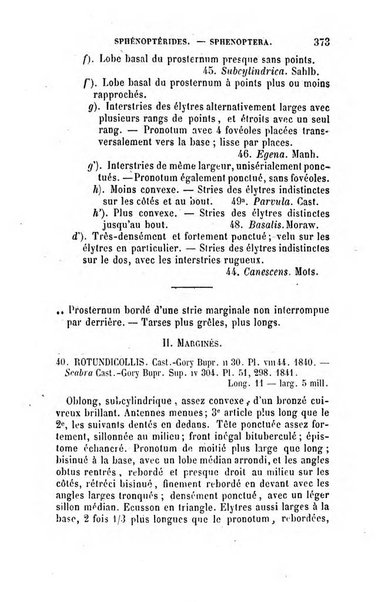 L'abeille memoires d'entomologie