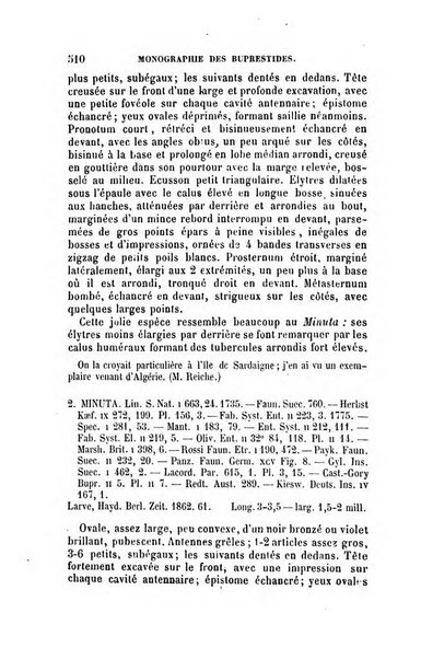 L'abeille memoires d'entomologie