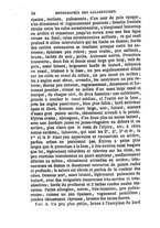 giornale/UFI0041837/1866/unico/00000066