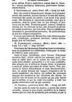 giornale/UFI0041837/1867/unico/00000304