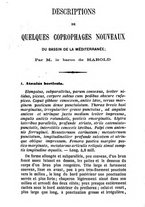 giornale/UFI0041837/1868-1869/unico/00000443