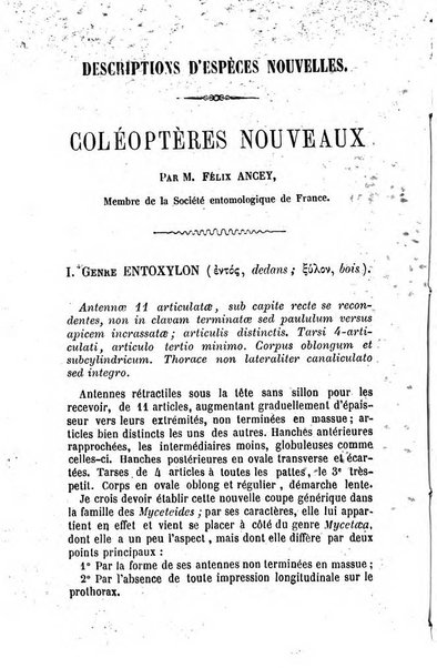 L'abeille memoires d'entomologie