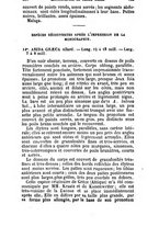 giornale/UFI0041837/1869/unico/00000304