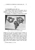 giornale/UFI0042172/1929/unico/00000077