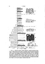 giornale/UFI0046247/1941/unico/00000020