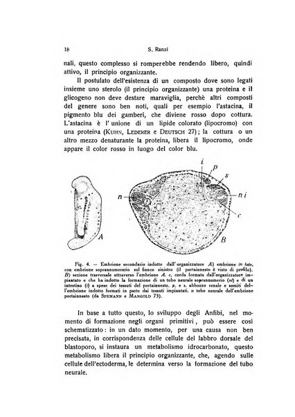 Attualità zoologiche