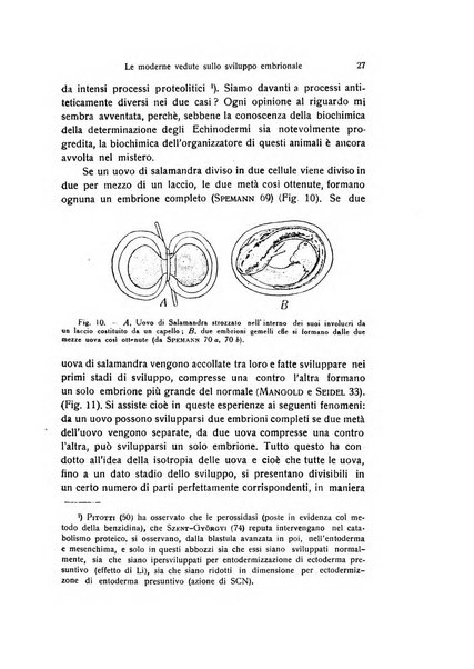 Attualità zoologiche